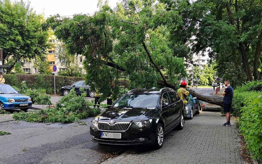 Kraków. Drzewo spadło na samochód. Trwa usuwanie szkód [ZDJĘCIA]