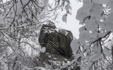Piękny zimowy krajobraz w Rezerwacie Przyrody "Prządki"  
