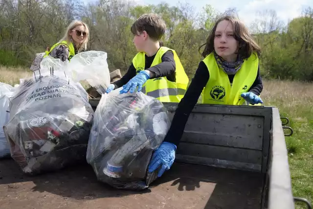 Wielkie weekendowe porządki z okazji Dnia Ziemi (22 kwietnia) trwają. W niedzielę, 24 kwietnia, odbyło się VIII Sprzątanie Brzegów Warty i Dorzecza, organizowane przez Fundację Ratuj Ryby. W godzinach od 11 do 19 okolice Warty sprzątają sztaby zlokalizowane na całej długości rzeki - od źródeł do ujścia. Wolontariuszy nie zabrakło także w Poznaniu. Zobacz zdjęcia! --->