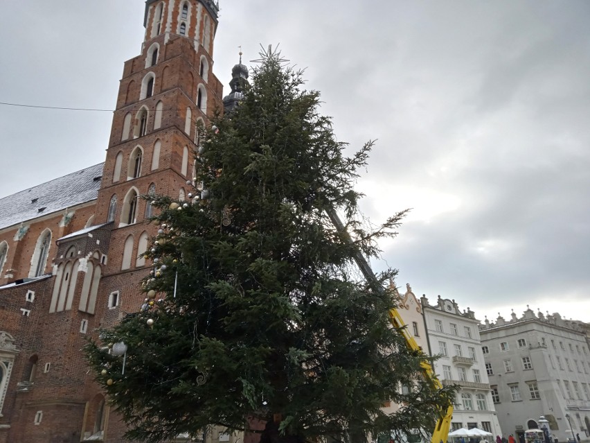 Kraków. Z Rynku Głównego znika świąteczna choinka [ZDJĘCIA]