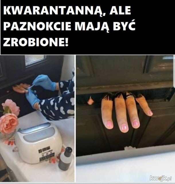 Koronawirus i kwarantanna. Oto nowe, najbardziej zabawne MEMY 