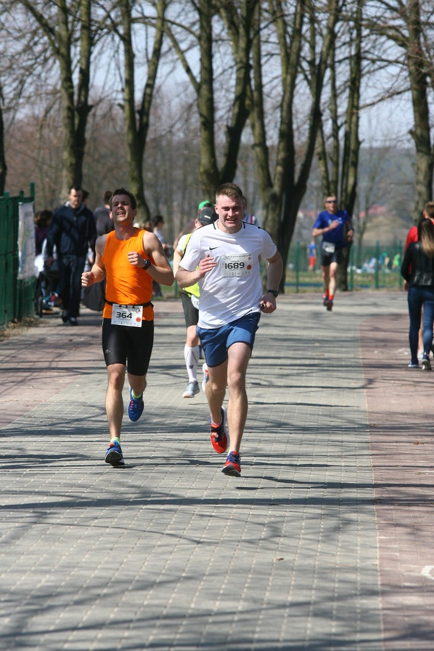 Biegli w niedzielę nad Zalewem Zemborzyckiem. To ostatni bieg z cyklu "Cztery Dychy do Maratonu" [DUŻO ZDJĘĆ]