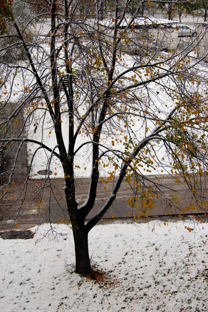 Pierwszy śnieg na osiedlu Gołębiów w Radomiu. sobota,...