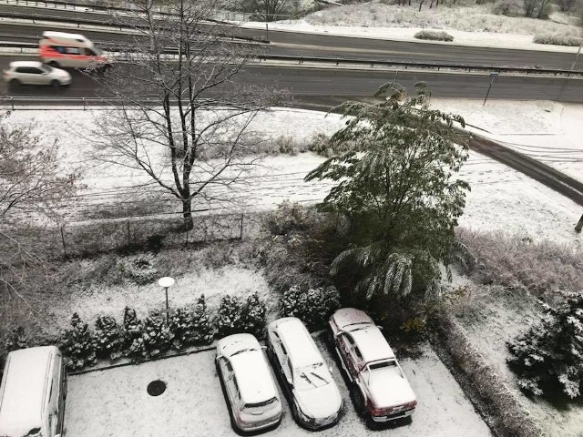 Wielkiego zaskoczenia nie było, bo meteorolodzy od kilku dni zapowiadali, że 20 listopada możemy się spodziewać przelotnych opadów śniegu. Ale pierwsze opady białego puchu zawsze wywołują emocje. W Lubuskiem sypnęło, a dokumentowali to nasi Czytelnicy. Dostaliśmy też zdjęcia z innych miejsc w Polsce.Prognoza pogody na najbliższe dniŚnieg w Lubuskiem padał krótko i bardzo szybko stopniał. Prognozy mówią, że w najbliższych dniach śnieg z deszczem spadnie w naszym regionie jeszcze w środę, 22 listopada. Ale podobnie jak dzisiaj, opady będą krótkotrwałe i przelotne. Temperatura w okolicach dziewięciu stopni powyżej zera sprawi, że biały puch nie utrzyma się zbyt długo na ziemi, a w niektórych miejscach będzie od razu topniał.Tymczasem w czwartek i piątek (24 i 25 listopada) temperatura znacząco wzrośnie i może osiągnąć nawet kilkanaście stopni poniżej zera. W tych dniach nie ma co się spodziewać opadów śniegu. Szczególnie w piątek możliwe są natomiast przelotne opady deszczu.Czytaj więcej o pogodzie w Lubuskiem:  Pogoda w LubuskiemZobacz też wideo: Magazyn Informacyjny GL 17.11.2017