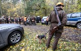 Myśliwi protestują przeciw... odstrzałowi dzików