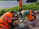 Od poniedziałku nie parkuj na ulicy Śniadeckich w Kielcach, będą wymieniać chodnik