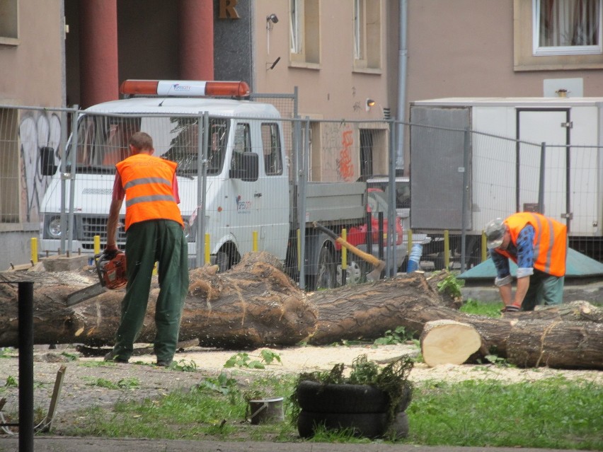 Wrocław: Wycinają drzewa na skwerku przy ul. Szewskiej