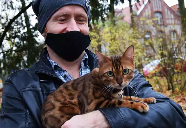 Tomasz Urbaniak i jego niezwykłej urody kot bengalski.