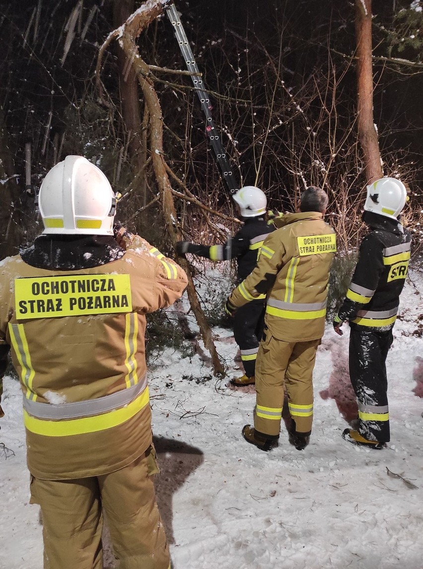 Region. Ciężki śnieg łamie i wygina gałęzie drzew. Na pomoc ruszyli strażacy (ZDJĘCIA)