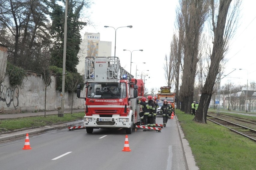 Utrudnienia na Ślężnej. Strażacy ścieli drzewo pochylone nad trakcją (ZDJĘCIA)