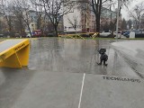 Niebezpieczny krasnal zniknął z nowego skateparku we Wrocławiu