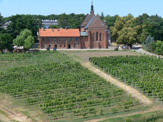 Do wydarzenia, przystąpiło 8 winnic z regionu w tym Winnica św. Jakuba,