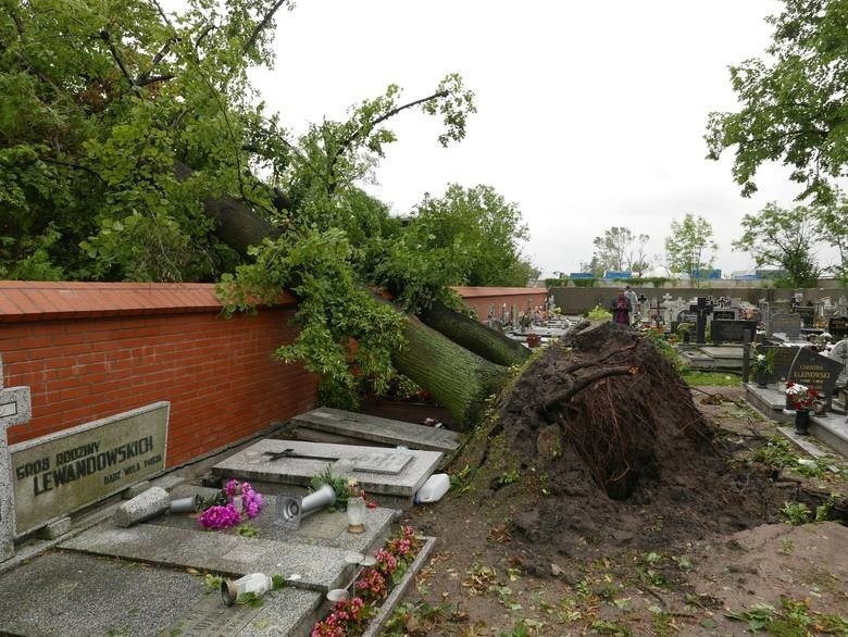 Białystok chce pomóc Pomorzanom