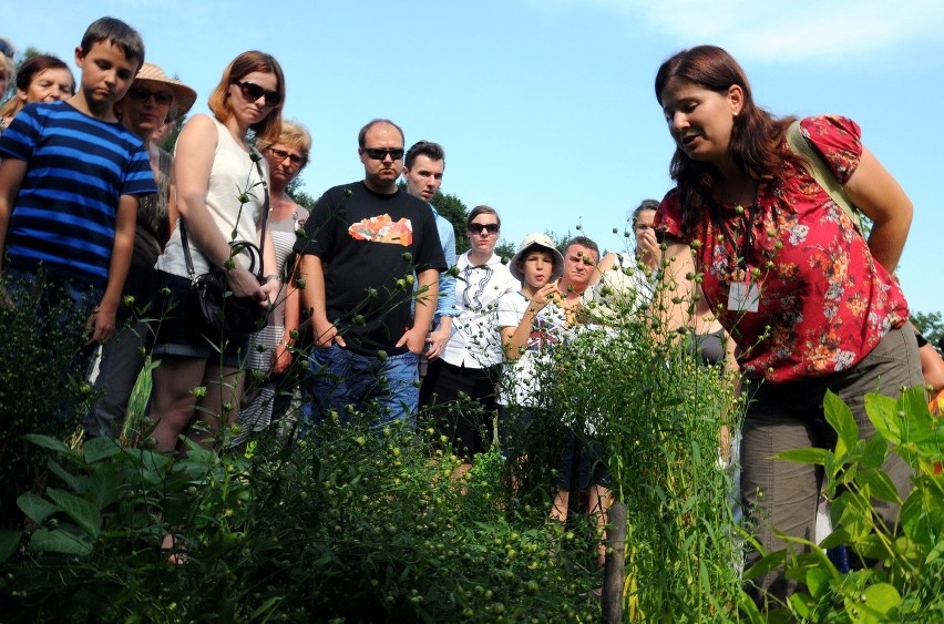 Wycieczka po Ogrodzie Botanicznym: Nawet pokrzywa może być smaczna (ZDJĘCIA)