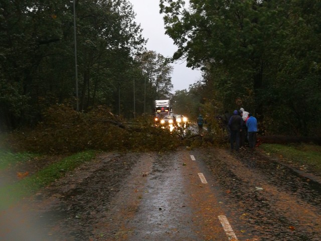 Zatrzymane autobusy i samochody w kierunku Załomia i os. Kasztanowego