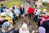 Dzień Babci i Dziadka z Kazimierzowskim Uniwersytetem Trzeciego Wieku w Bydgoszczy. Zobacz, jak bawili się bydgoscy seniorzy