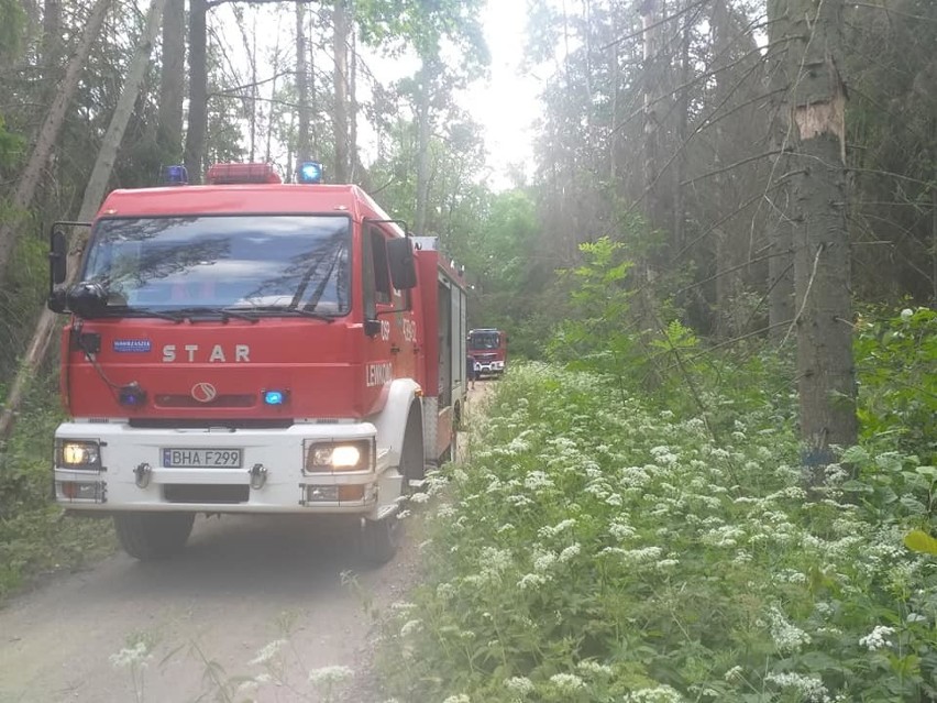 Drzewa i niebezpiecznie zwisające na drogę gałęzie usuwali...