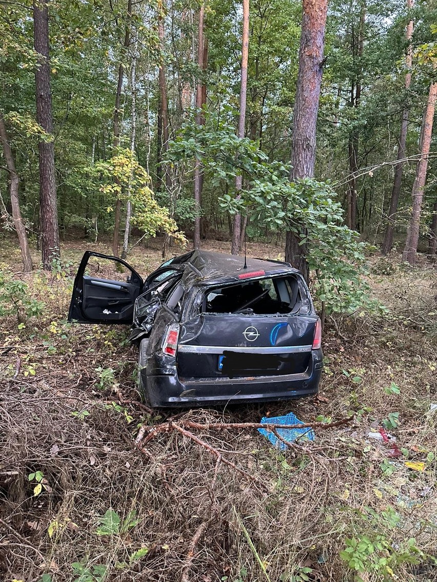 Samochód zderzył się z sarną na drodze w Michałowie w powiecie pińczowskim. Kierowca w szpitalu. Zobacz zdjęcia