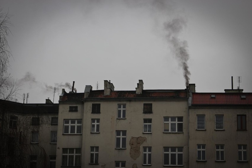 Smog jest jednym z głównych problemów w Wielkopolsce