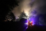 Duży pożar pod Wrocławiem. Kolejny raz w tym samym miejscu (ZDJĘCIA)