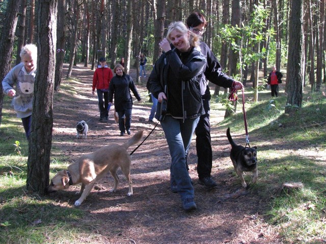 Accalia Szkolenie Psów oraz Akademia Psiaka i Kociaka serdecznie zapraszają do Lasu Charzyńskiego na II Kołobrzeski Dogtrekking. Zbiórka przy ścieżce rowerowej, w niedzielę o godz. 11:00.