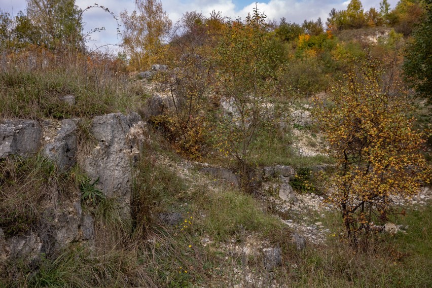 Kraków. Jesień w dawnym kameniołomie. Na razie jest proces, a ma być park 