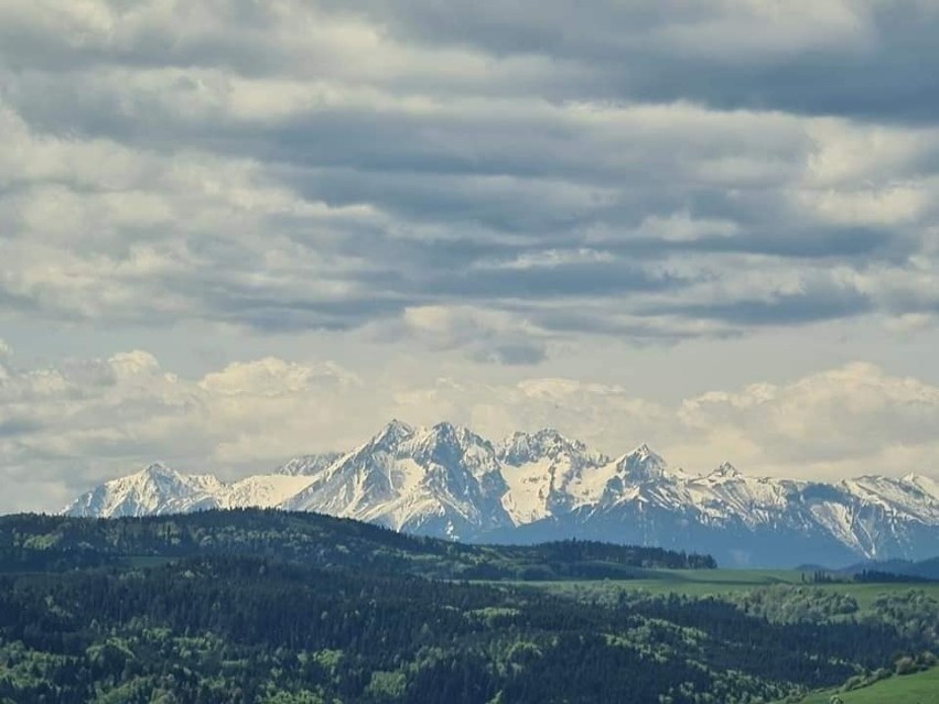 Tatry widziane z Palenicy w Żegiestowie