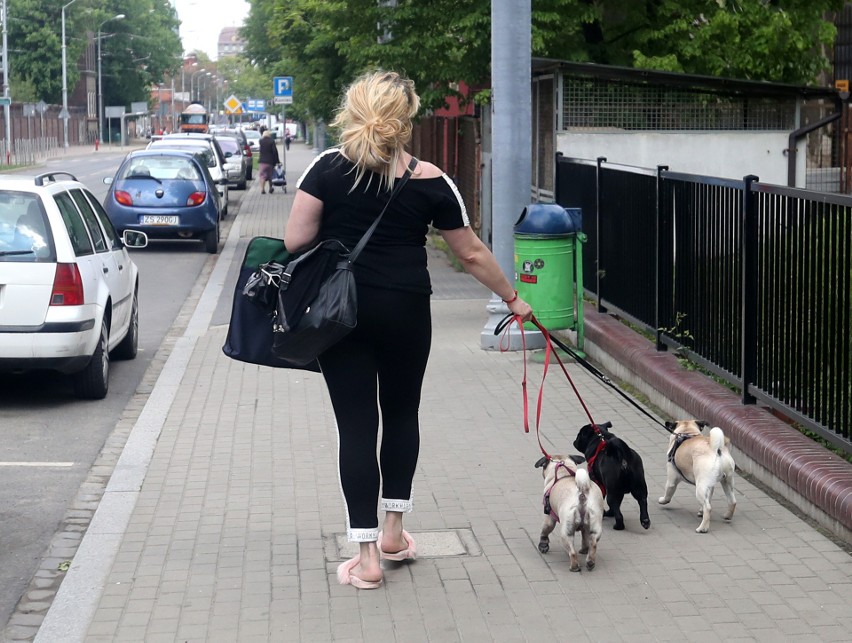 Półgodzinny spacer z psem kosztuje 30 zł, godzinny - dwa...