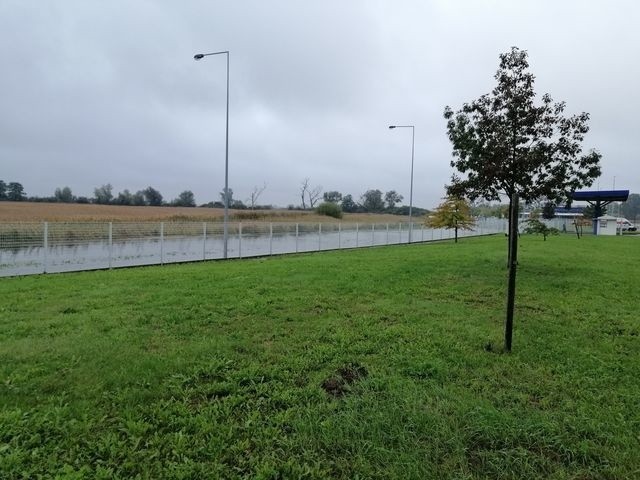 Ogromne rozlewisko we Wrocławiu. Droga i parking przy Avicenny pod wodą 