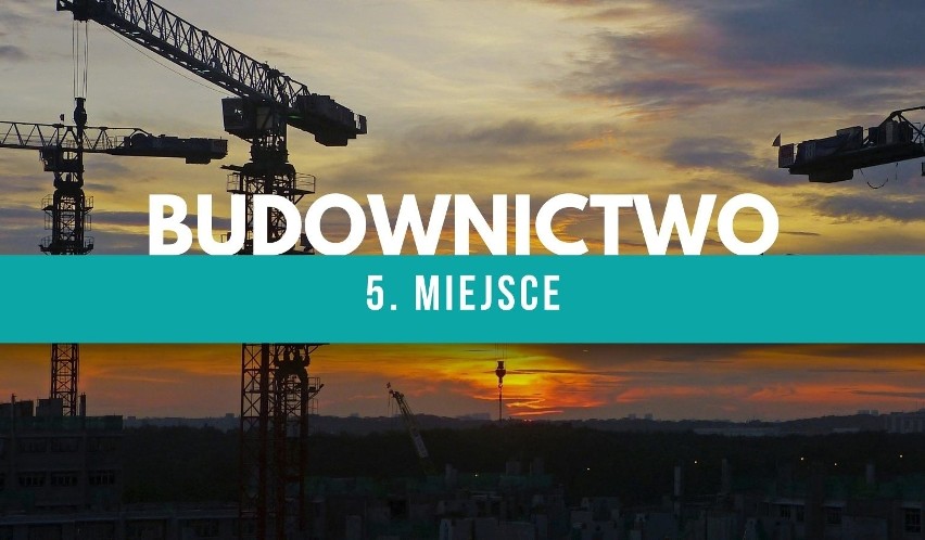 Najpopularniejsze kierunki w Szczecinie: ZUT. Co wybierali najchętniej przyszli studenci?