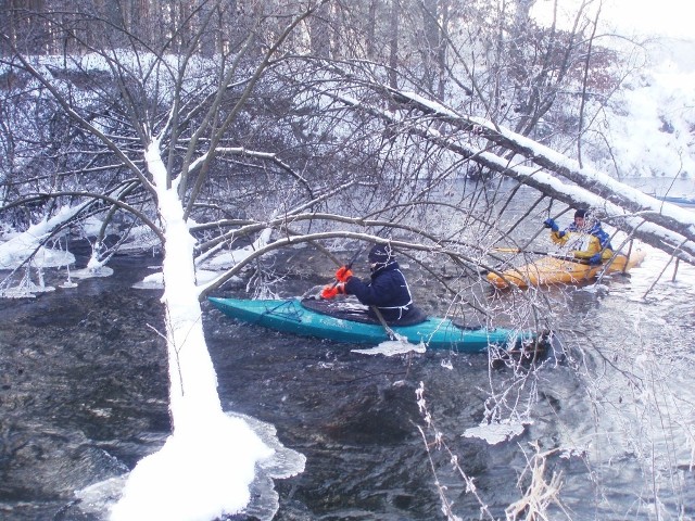 W czwartek rusza zimowy spływ na Brdzie, a w piątek na Wdzie - siostrzanych rzekach płynących przez Bory Tucholskie.