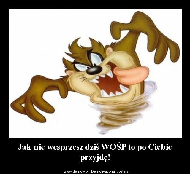 Internauci o WOŚP