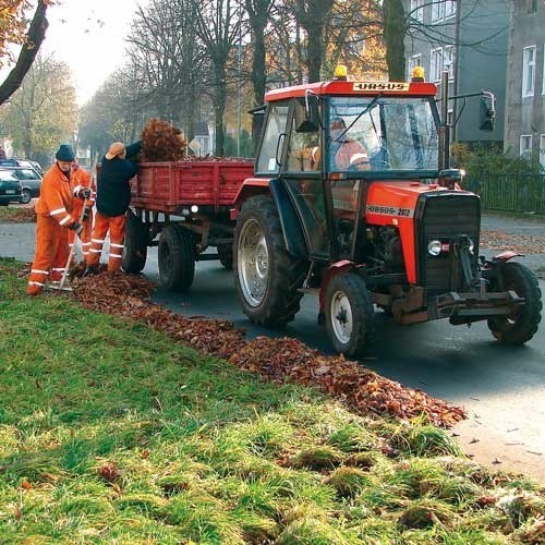 Pracownicy Zarządu Dróg Powiatowych w Białogardzie podczas porządkowania ulicy Grunwaldzkiej.