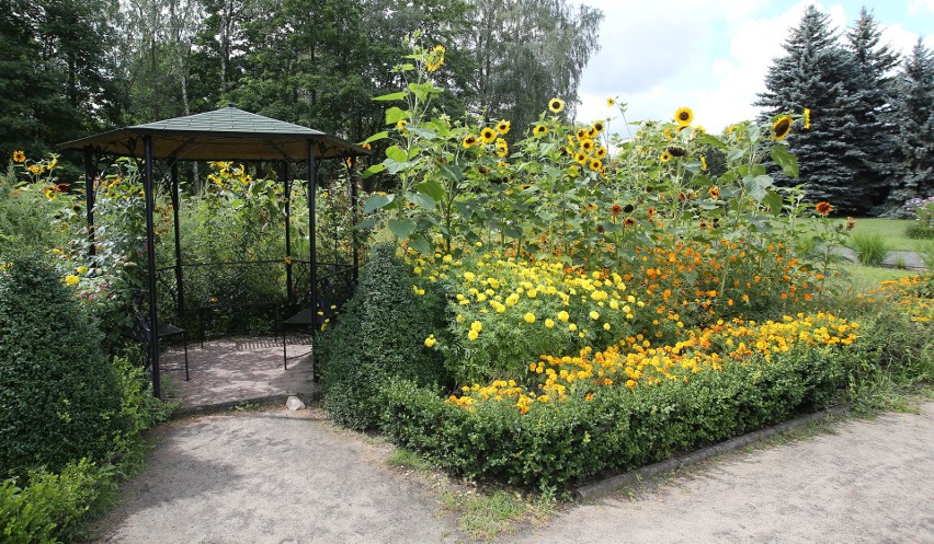 Piękne miejsca w ogrodzie botanicznym w Łodzi. ZDJĘCIA Kwitną krokusy i przylaszczki, lada dzień rozwiną się forsycje, ale na tym nie koniec