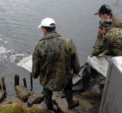 Ichtiolodzy Piotr Tomkowiak i Mateusz Kotowicz oraz Henryk Kucharski wpuścili do jeziora Klukom ponad 200 kg lina