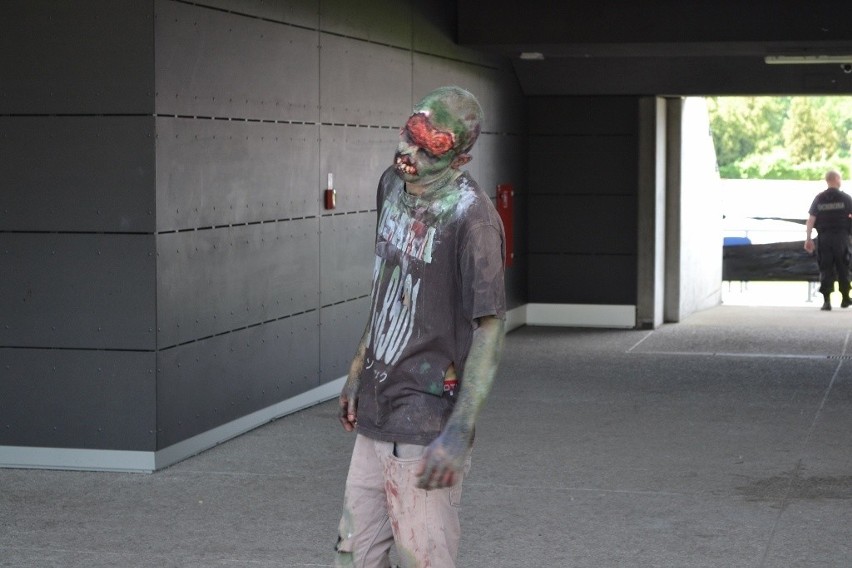 Zombie na stadionie Górnika Zabrze! Największy escape room w Polsce [ZDJĘCIA, WIDEO]