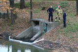 Wyciek do rzeki Oławy pod Wrocławiem. Pilna interwencja strażaków i urzędników