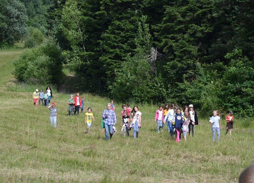 Dzieci z Kobylanki i Zagórzan na biwaku pod Łysulą próbowały pokonać wielką pajęczynę ...