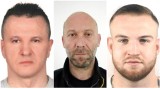 Poszukiwani za zabójstwo - to ich poszukuje cała polska policja. Zobacz, czy rozpoznajesz kogoś z nich