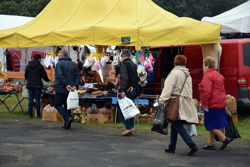 Targi Rolne w Barzkowicach. Można skorzystać z oferty ponad 900 wystawców [zdjęcia, wideo]