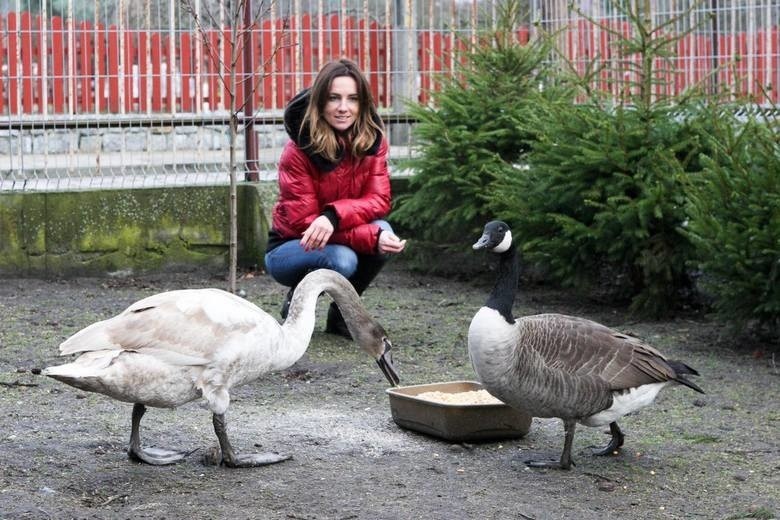 Dzika Ostoja zbuduje piękny ośrodek dla zwierząt. Pojawiło się jednak ryzyko...