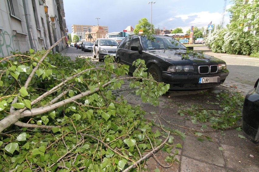 Drzewo powalone przez burzę w rejonie ul. Dmowskiego we...