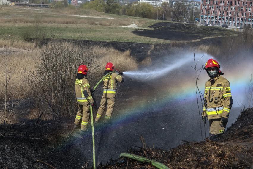 Kraków. Pożar traw w rejonie Bonarki