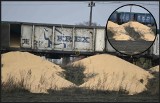 W Kotomierzu z pociągu wysypano kukurydzę z Ukrainy - mamy zdjęcia. Ruszyło śledztwo