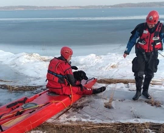 Tarnobrzeg. Akcja ratownicza na Jeziorze Tarnobrzeskim. Strażacy ocalili psa (ZDJĘCIA)