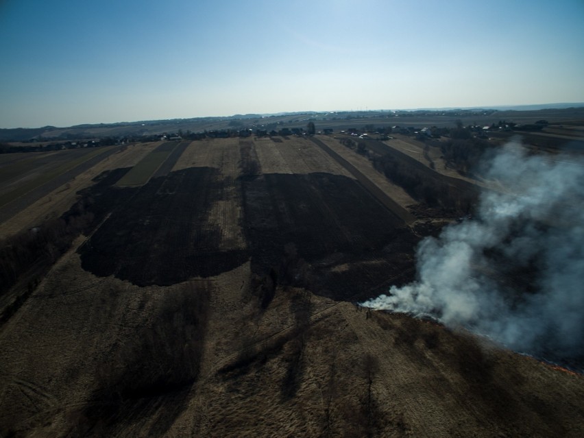 Pożar traw w Sąspowie (pow. krakowski), 14 marca