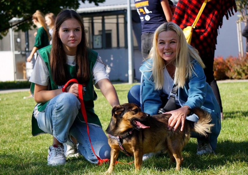 Dzień otwarty w lubelskim Schronisku dla zwierząt. Placówkę odwiedziła Katarzyna Bujakiewicz. ZDJĘCIA