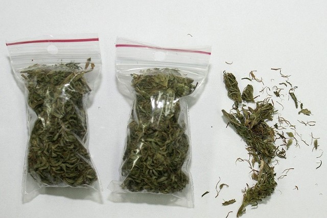 Policjanci znaleźli foliowe torebki z marihuaną o łącznej wadze blisko 10 gramów.