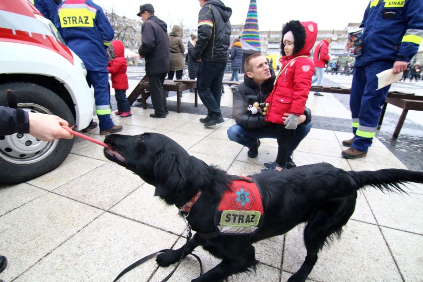 Rozpoczęły się już pierwsze koncerty. W budynku Urzędu...