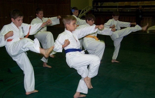 W Tarnobrzeskim Klubie Kyokushin Karate trenuje wielu uzdolnionych młodych zawodników.